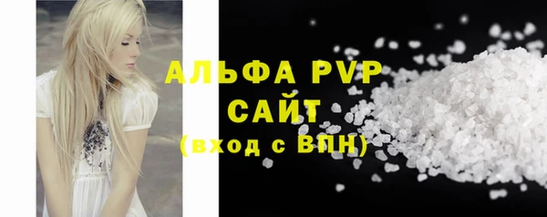 молекула духа Надым