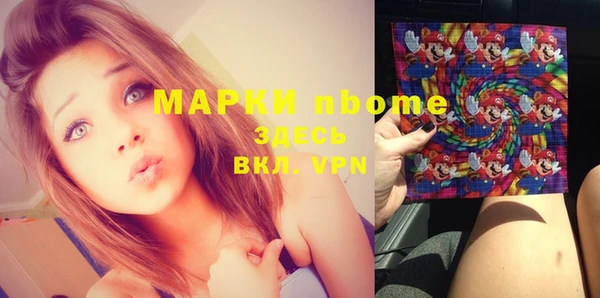 молекула духа Надым