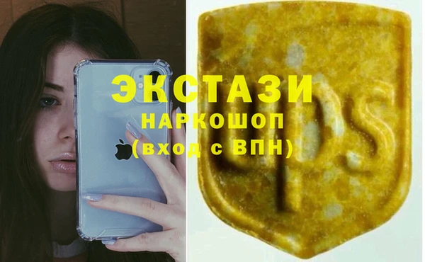 молекула духа Надым