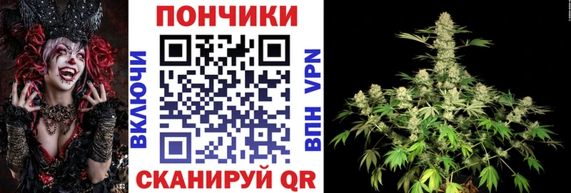 Бошки марихуана OG Kush Козловка